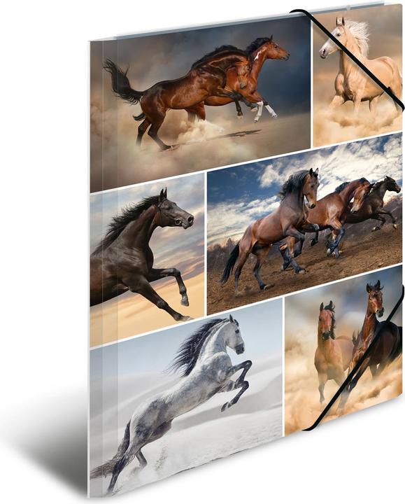 Actual product image Herma A4 motif folder (A4, 1 x)