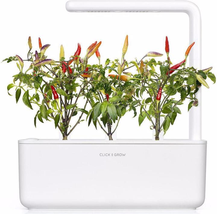 Produktbild Click and Grow Saatgut Roter scharfer Chili (Gemüsesamen)