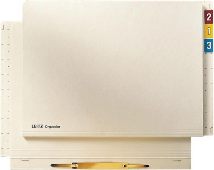 Actual product image Leitz Settings folder (A4, 1 x)