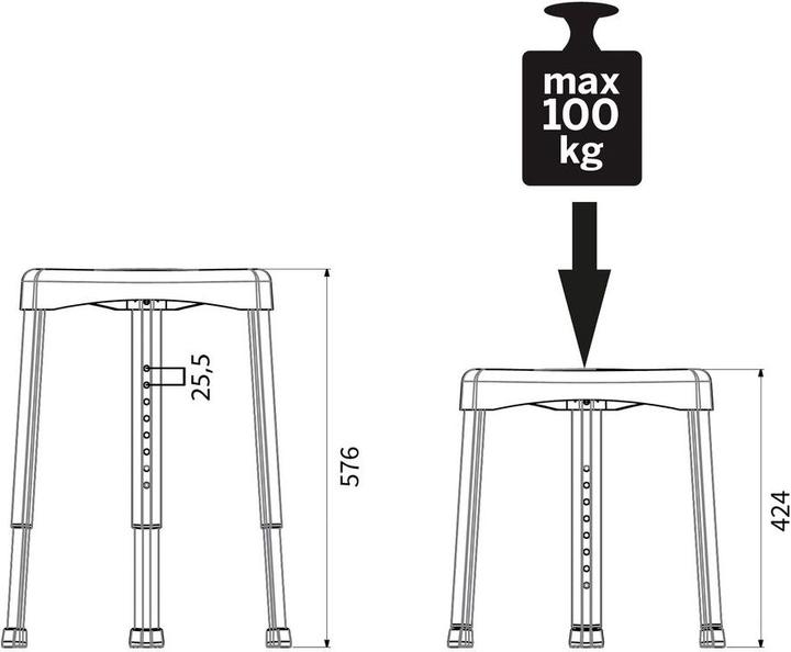 Produktbild Tiger Libra (100 kg)