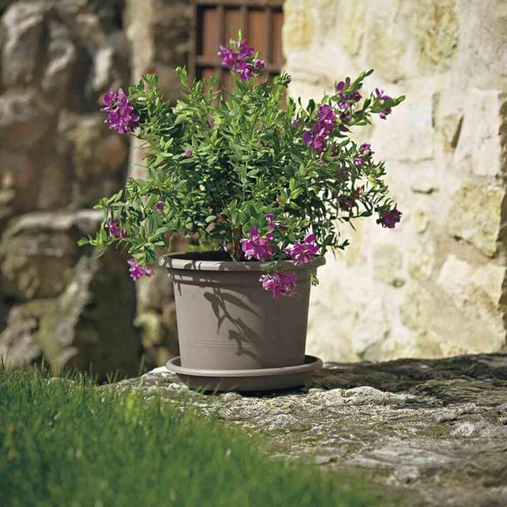Image du produit Euro3plast Bacs à plantes (55 cm)