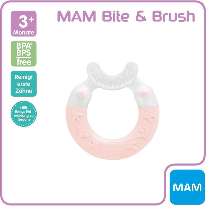 Produktbild MAM Beissringe & Zahnungshilfen Beissring Bite & Brush - Rosa