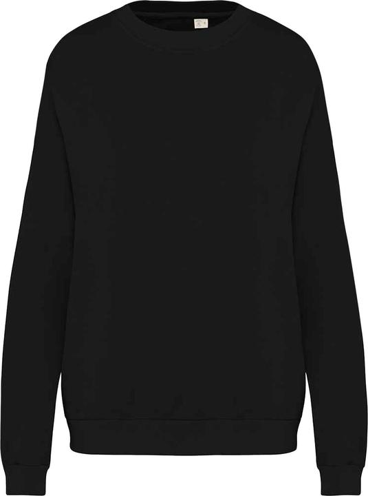 Native Spirit Sweatshirt (XS)