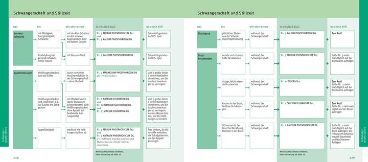Produktbild Maxi-Quickfinder Schüssler-Salze (Deutsch, Günther H. Heepen, 2015)