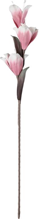 Actual product image EGLO LIVING Molave (85 cm)