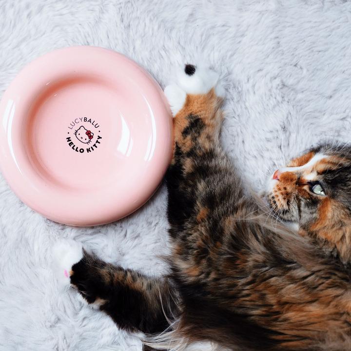 Immagine prodotto LucyBalu DROP Katzennapf - Hello Kitty Edition