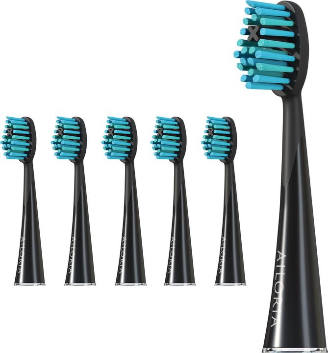 Actual product image Ailoria Shine Bright (6 x)