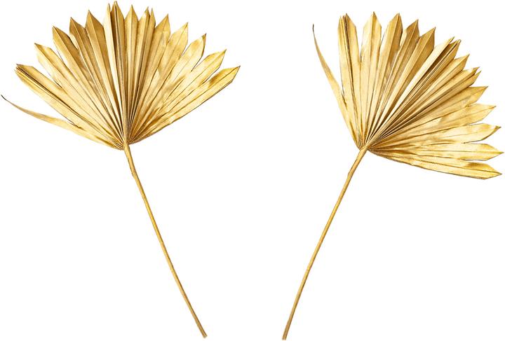 Immagine prodotto Casativo Foglia deco, oro, 40 x 45 cm (40 x 45 cm)