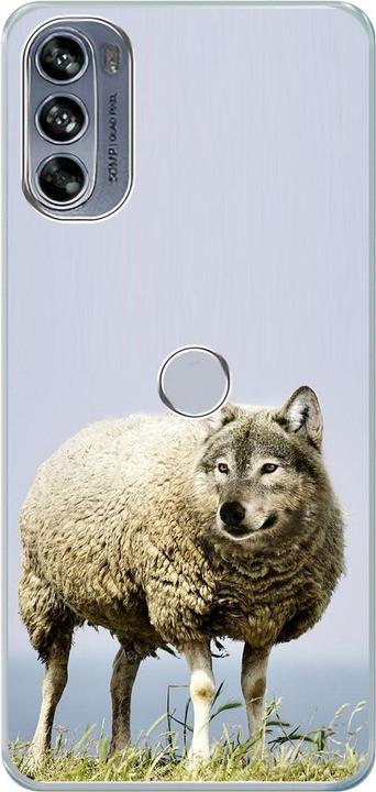 Wolf in sheep's clothing