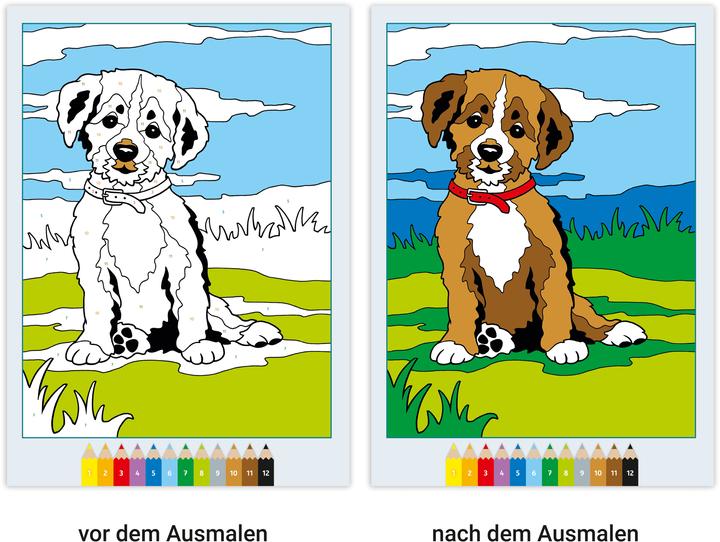Immagine prodotto Ravensburger CreArt Dipingere con i numeri a partire da 5: bambini animali