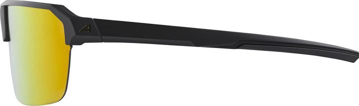 Actual product image ALPINA SPORTS Swift HR (Matt black, Gold)