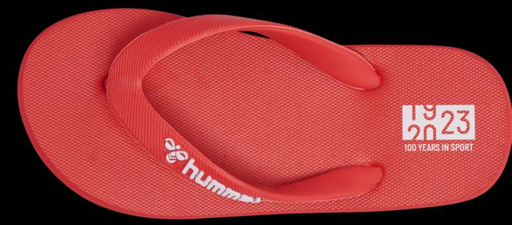 Produktbild hummel Flip Flop Jr (38)
