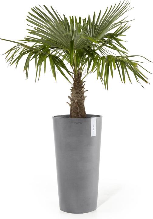 Produktbild Ecopots Amsterdam halbhoch (66 cm)