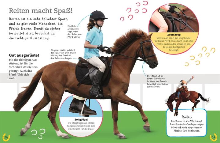 Immagine prodotto Pferde und Ponys (Tedesco, DK Verlag - Bambini, 2019)