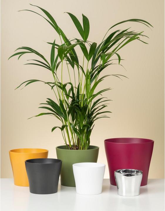 Actual product image Scheurich Flowerpot White Ø 21 cm (21 cm)