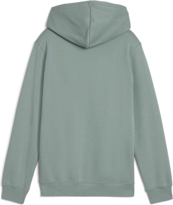 Image du produit Puma Sweat à capuche ESS No. 1 Logo FL B (176)