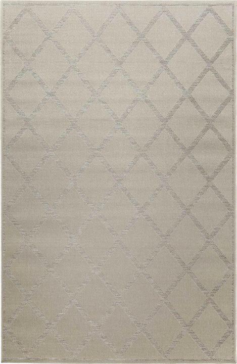 Beige grey