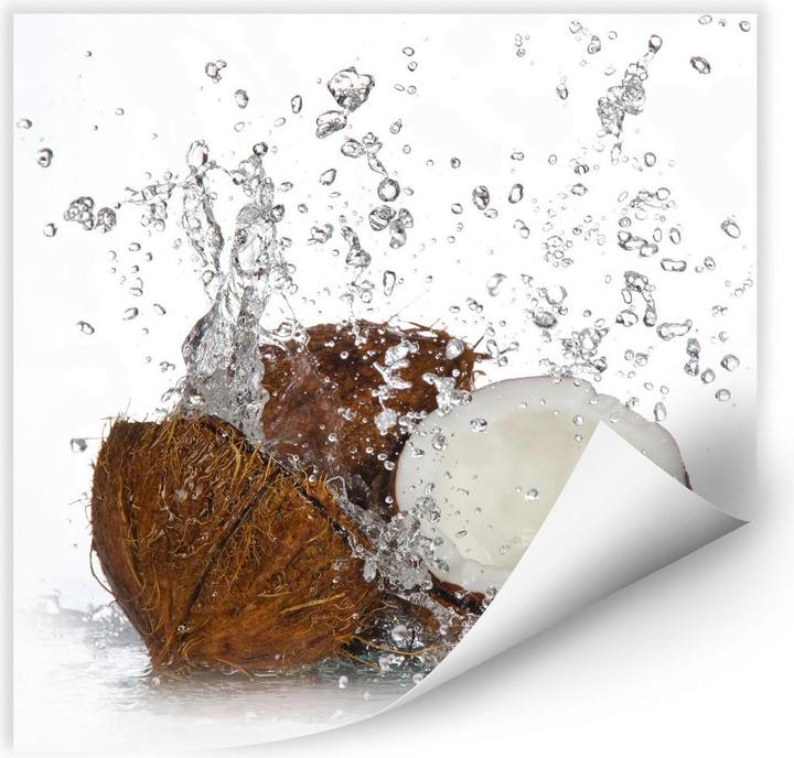 Image du produit Trenddeko Noix de coco des Caraïbes (50 x 50 cm)