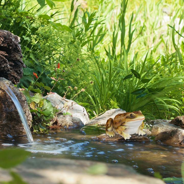 Image du produit Relaxdays Statue de jardin Crapaud