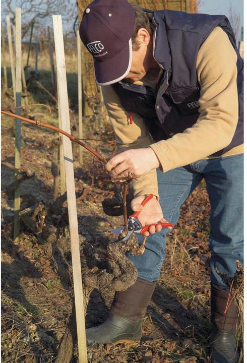 Produktbild Felco Gartenschere 11