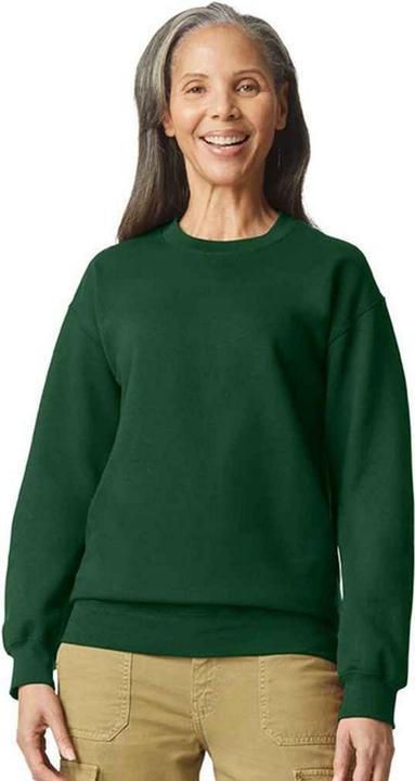Immagine prodotto Gildan Softstyle Felpa Uomo (XL)