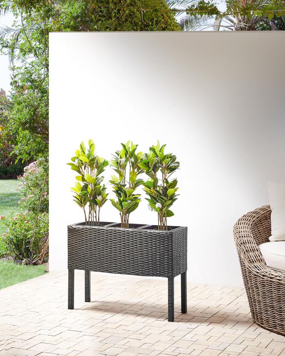 Actual product image Beliani Caragana (77 cm)