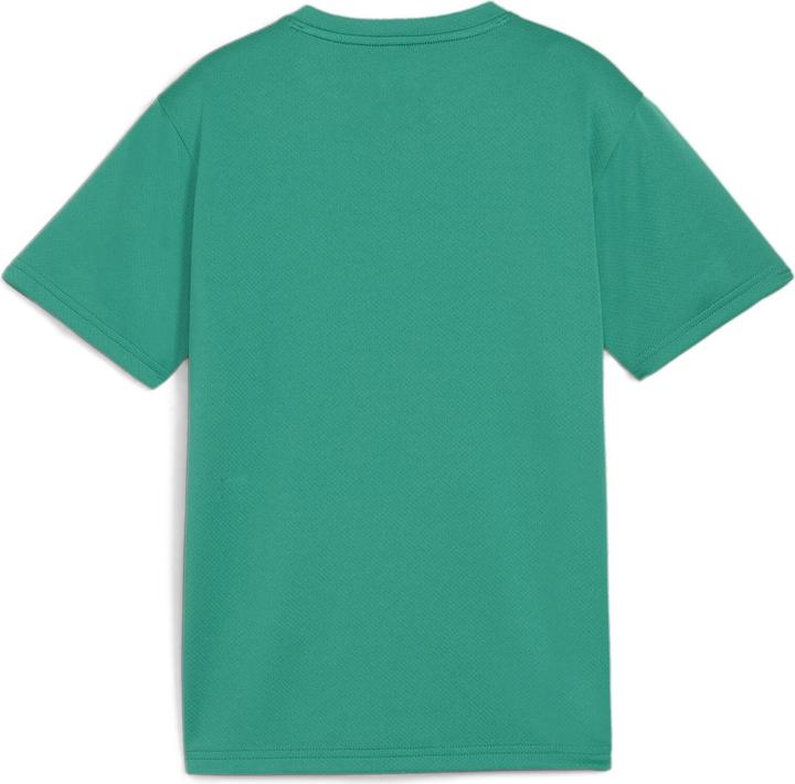 Actual product image Puma teamGOAL Jersey Jr (140)