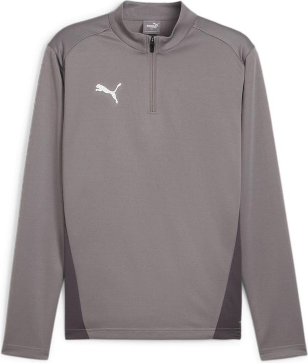 Puma teamGOAL Training 1/4 Zip Top