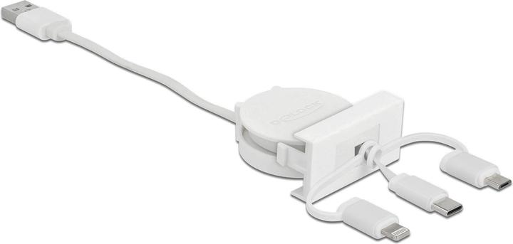 Immagine prodotto Delock 3in1 (0.50 m, USB 2.0)
