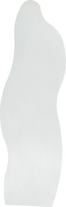 Immagine prodotto SalesFever Spiegel (50 x 160 cm)