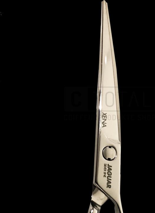 Actual product image Jaguar Silver Line Xena 6.0 Hair Scissors