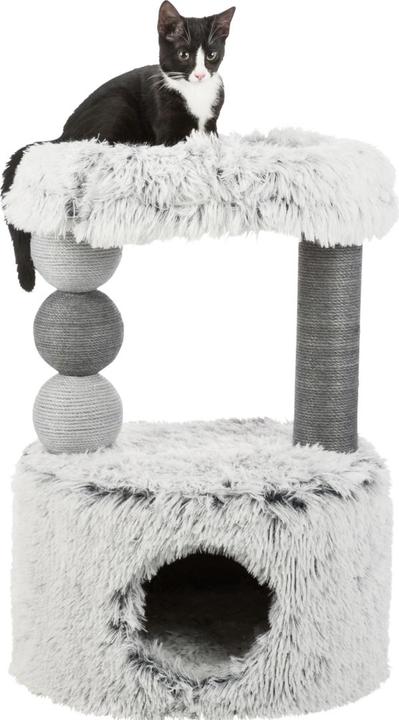 Immagine prodotto Trixie Gatto albero Harvey (73 cm, Grigio)