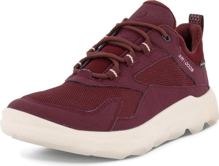 Ecco Sneaker (36)