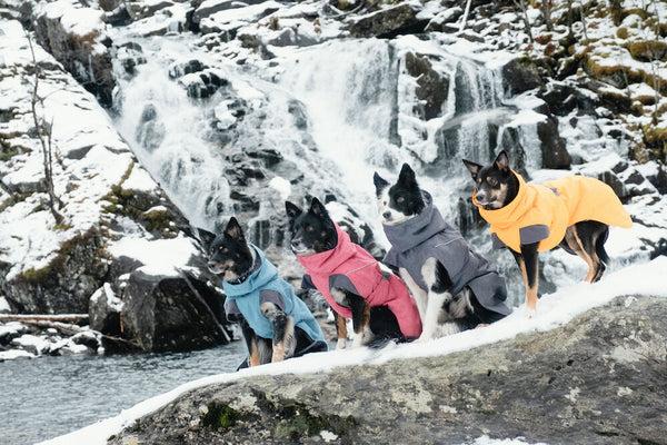 Actual product image Hurtta Expedition (40, Dog overalls)