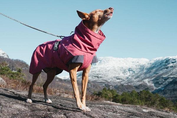 Actual product image Hurtta Expedition (40, Dog overalls)