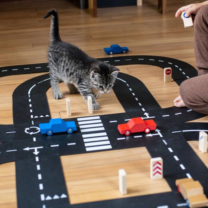 Immagine prodotto Waytoplay set regalo "king of the road