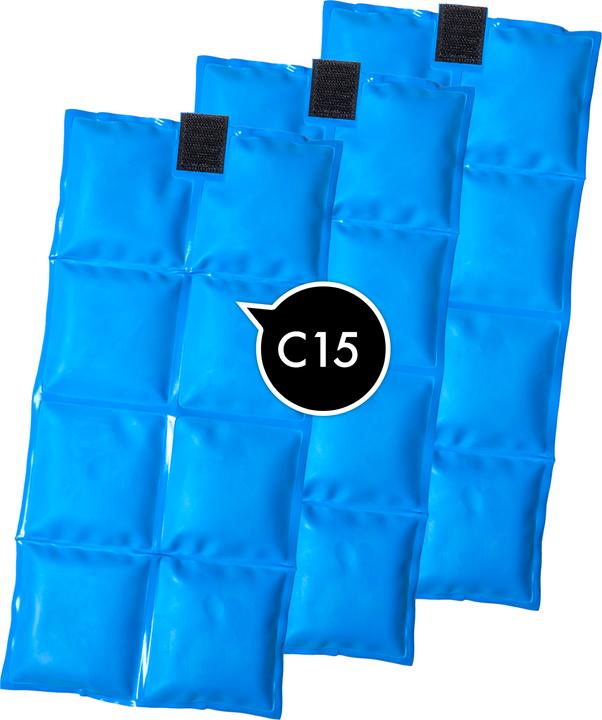 Image du produit Bertschat Gilet Rafraîchissant à Eléments MCP PRO (20)