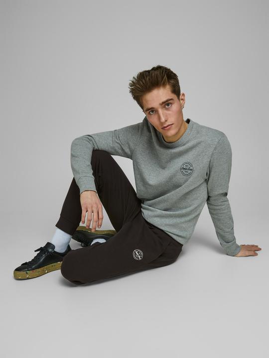 Immagine prodotto Jack & Jones Gordon Sweathose (L)