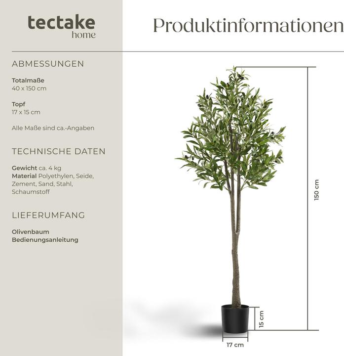 Image du produit tectake Olivenbaum Oleand (150 cm)