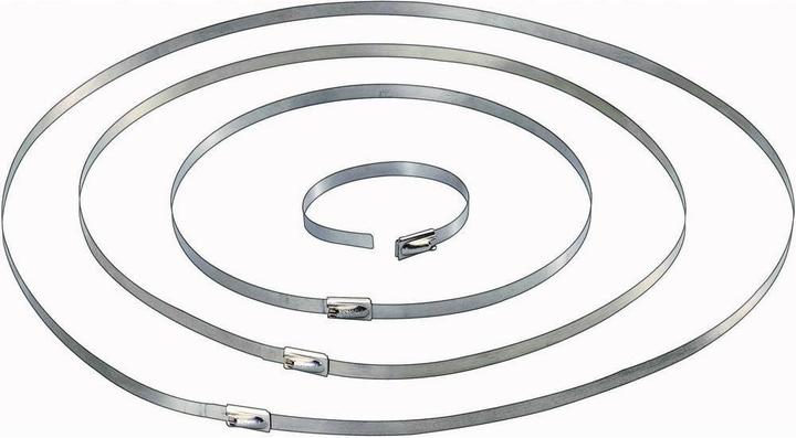 Immagine prodotto Tru Components Fascetta in acciaio (Fascette in metallo, 201 mm, 10 pz.)