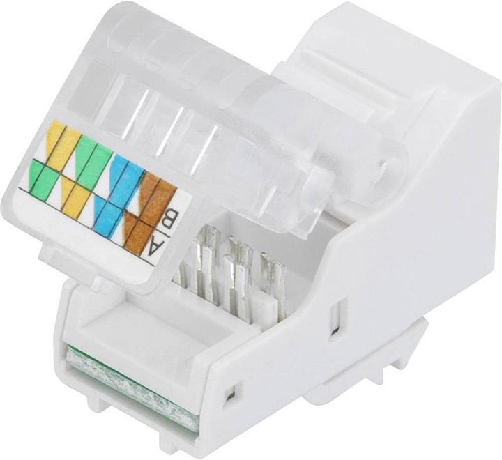Produktbild Tru Components Modularbuchse
