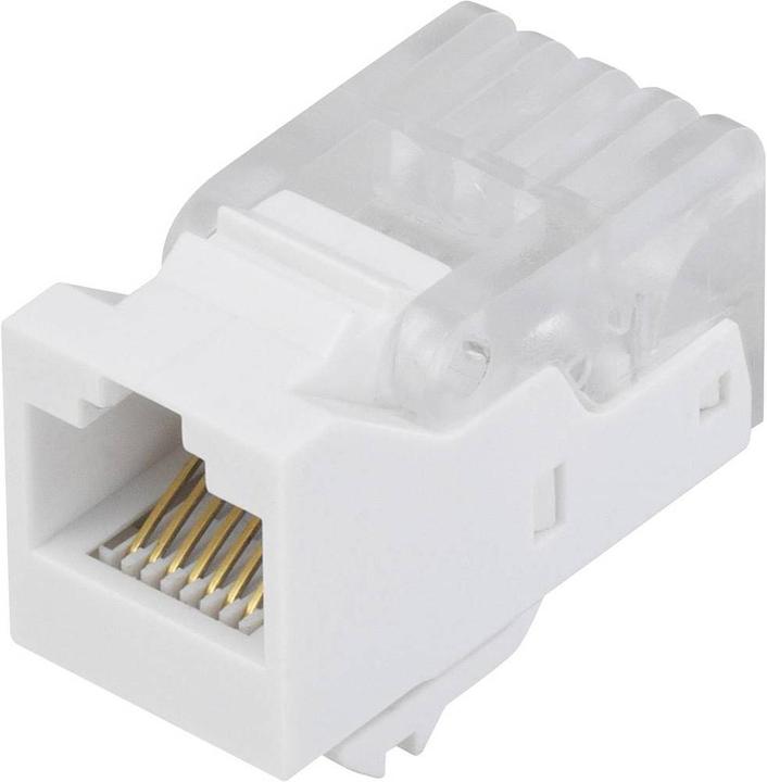Produktbild Tru Components Modularbuchse