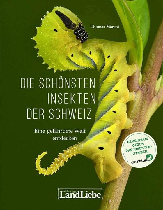 Actual product image Die schönsten Insekten der Schweiz (German, Thomas Marent, 2020)