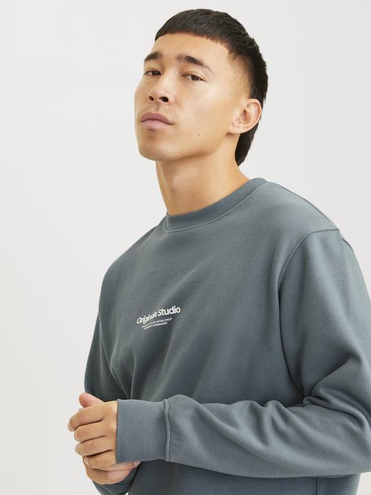 Actual product image Jack & Jones Printed sweatshirt Sweatshirt (M)