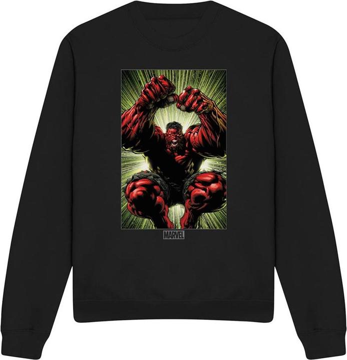Immagine prodotto Sweatshirt (XXL)