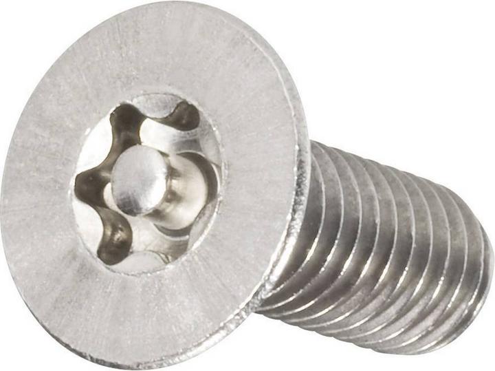 Actual product image Toolcraft Countersunk screws (10 Screws per piece)
