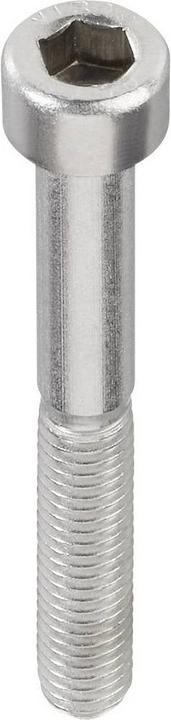Toolcraft Cheese head screws (100 Screws per piece)