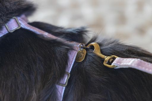 Actual product image Designed by Lotte Cat harness Virante (L, Cat, Walks)
