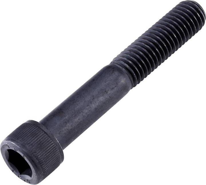 Actual product image Toolcraft Cheese head screws 50 ST (50 Screws per piece)