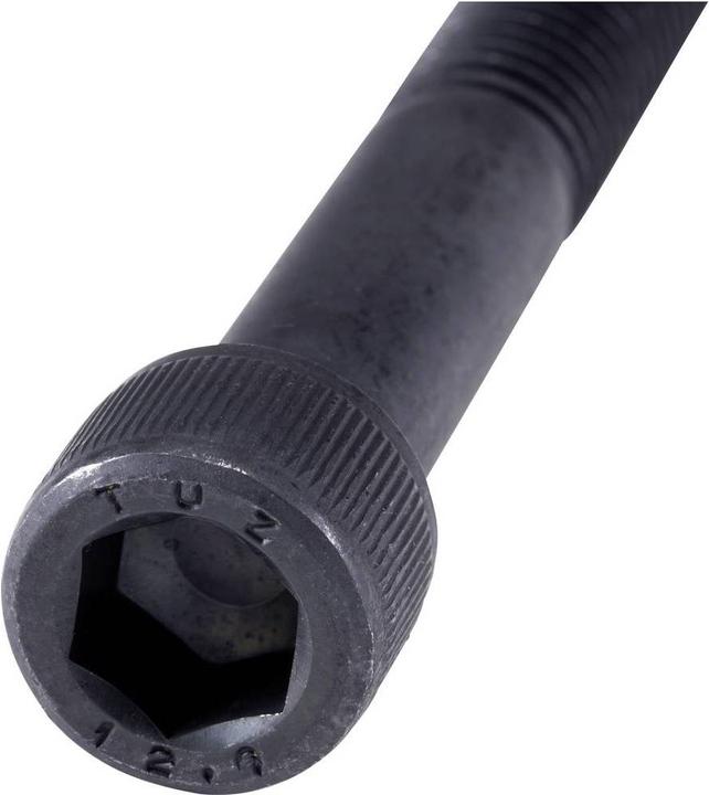 Actual product image Toolcraft Cheese head screws 50 ST (50 Screws per piece)